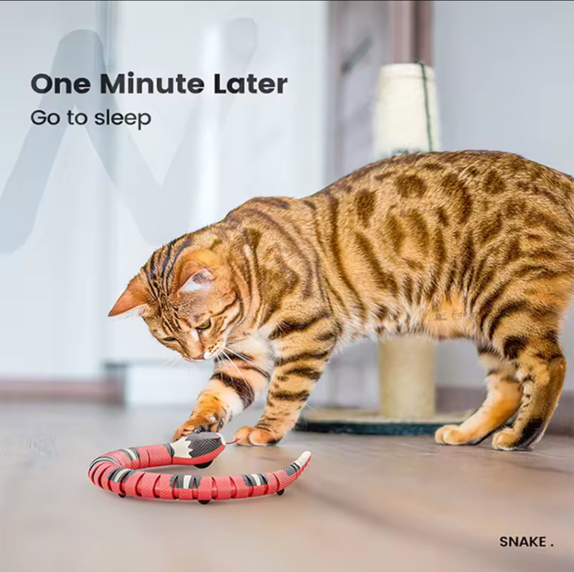 Snake Toy for Cats