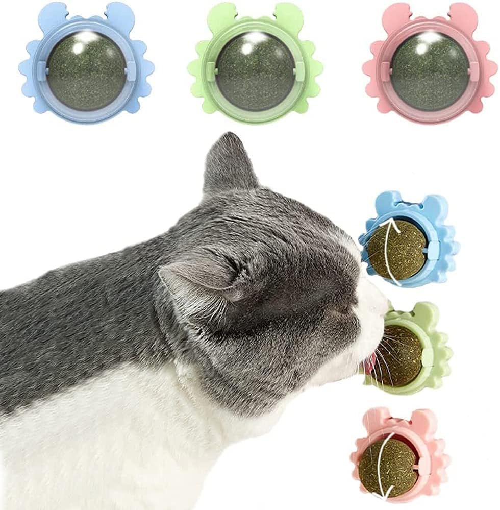 Catnip Wall Ball Cat Toy