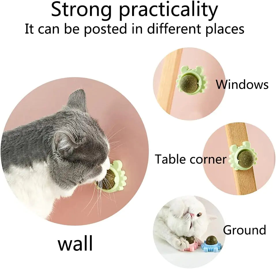 Catnip Wall Ball Cat Toy