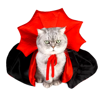 Cat wearing a red and black cape on a white background