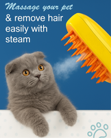 Cat Steam Grooming Brush