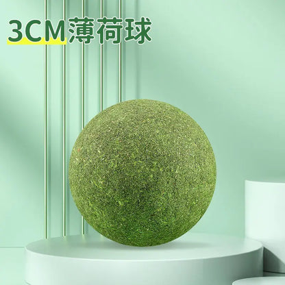 New Cat Dental Chew Toys with Insect Galls and Wood