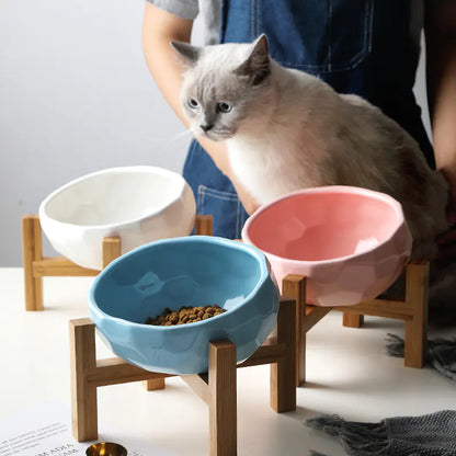 Ceramic Cat Bowl Set for Cats and Dogs, Pet Feeder
