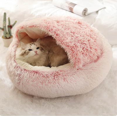 Cat curled up in plush shell-shaped pet bed