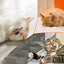 Natural Silver Vine Cat Chew Toys (6 Sticks/Box)