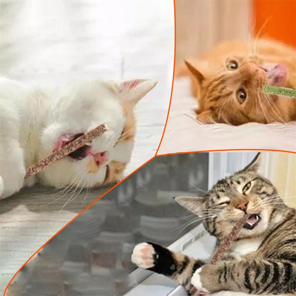 Natural Silver Vine Cat Chew Toys (6 Sticks/Box)