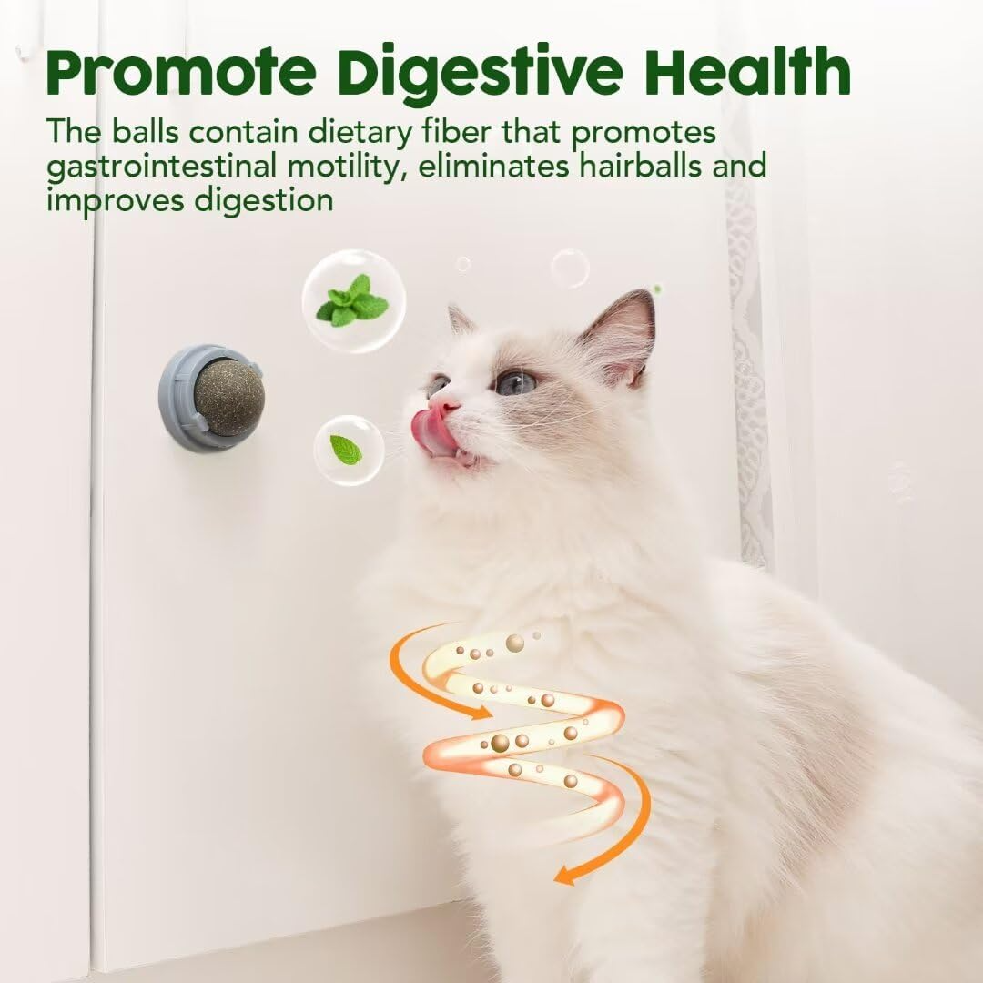 Catnip & Silvervine Ball Toy Set (4 Pcs)