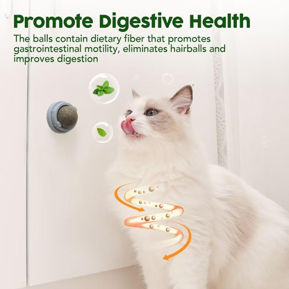 Catnip & Silvervine Ball Toy Set (4 Pcs)