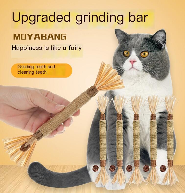 Natural Wood & Herbal Dental Chew Toys for Cats