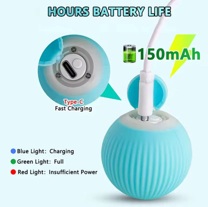 Cat Interactive Smart Toys Ball