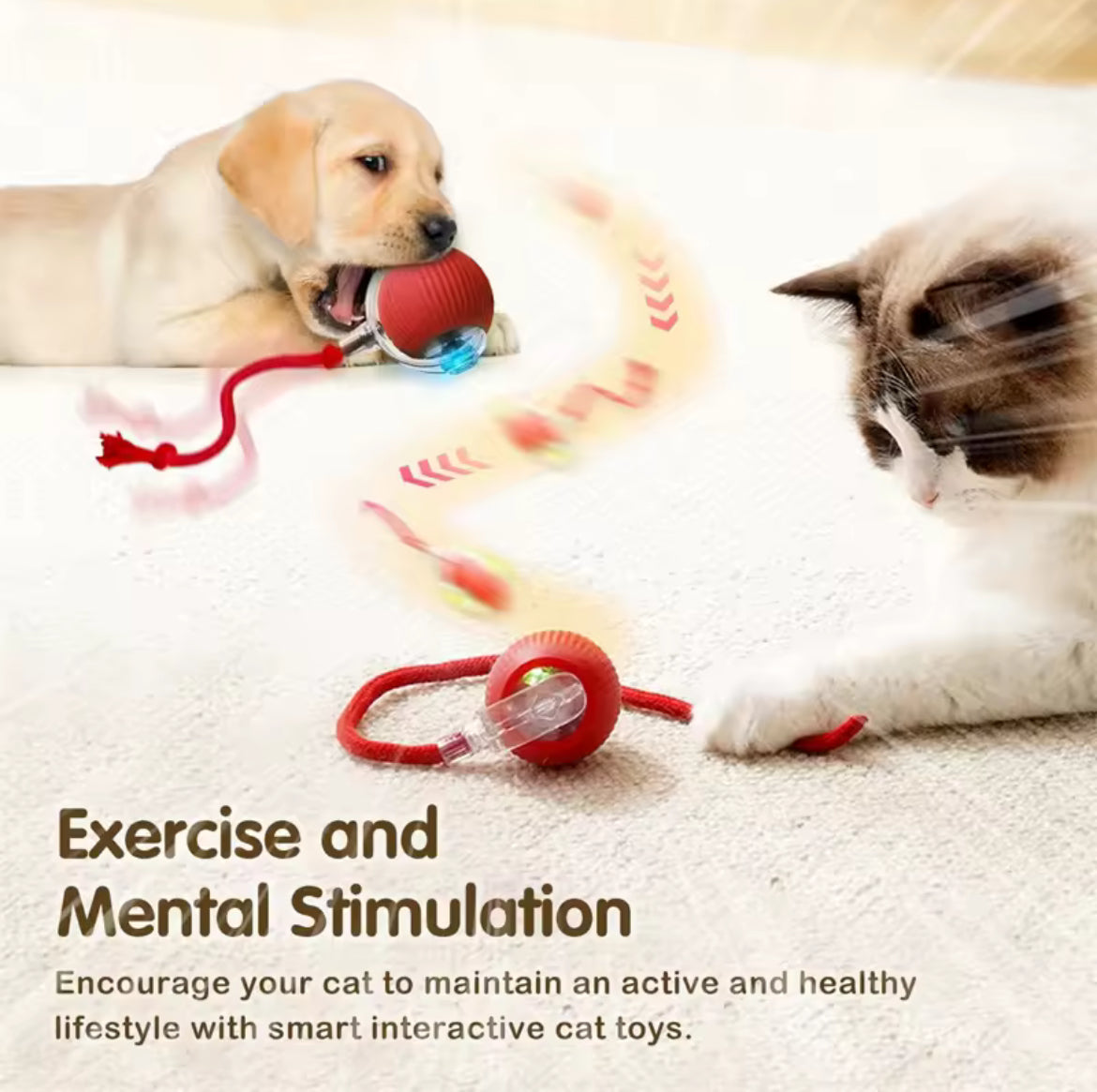 Cat Toy for Endless Fun