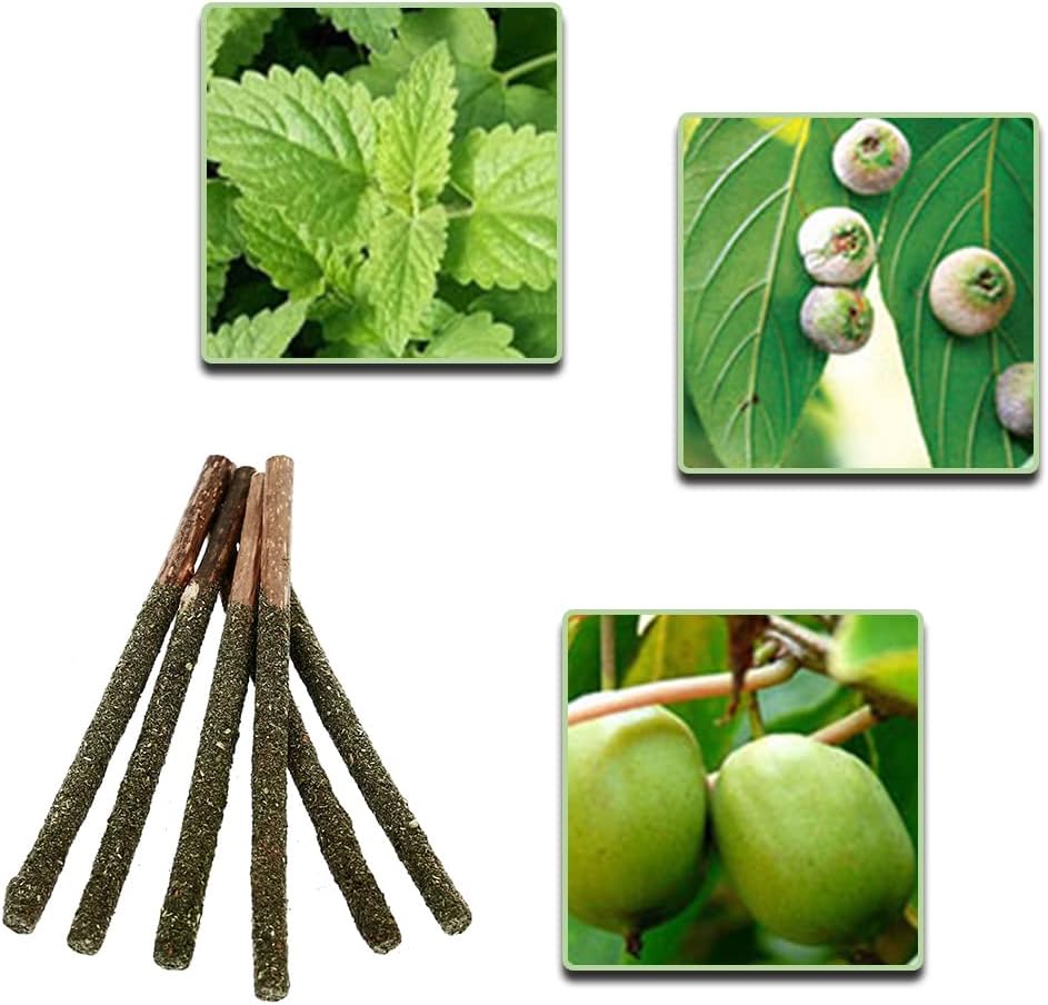 Cat Catnip Sticks (6 Pcs)