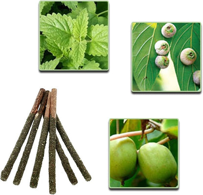 Cat Catnip Sticks (6 Pcs)