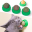 Edible Catnip & Silvervine Ball Toy Set