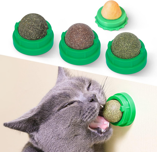 Catnip & Silvervine Ball Toy Set (4 Pcs)