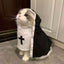 Cat & Dog Costume Cloak for Halloween