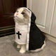 Cat & Dog Costume Cloak for Halloween