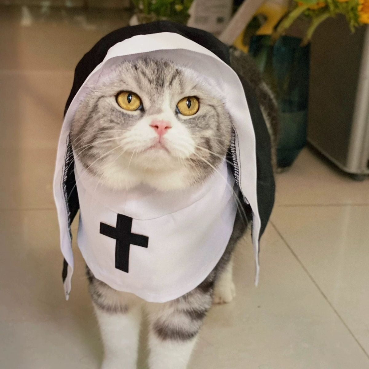 Cat & Dog Costume Cloak for Halloween