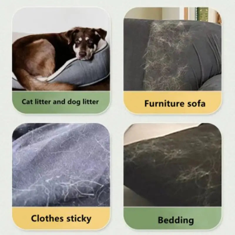 Cat Hair Removal