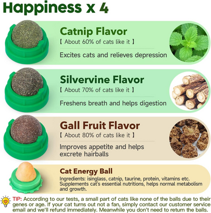 Catnip & Silvervine Ball Toy Set (4 Pcs)