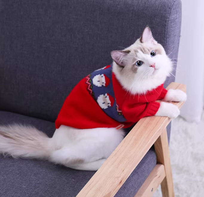 Christmas Sweater for Cat