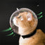 Transparent Cat Grooming Mask – view 7