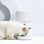 Cat Feeder With Camera