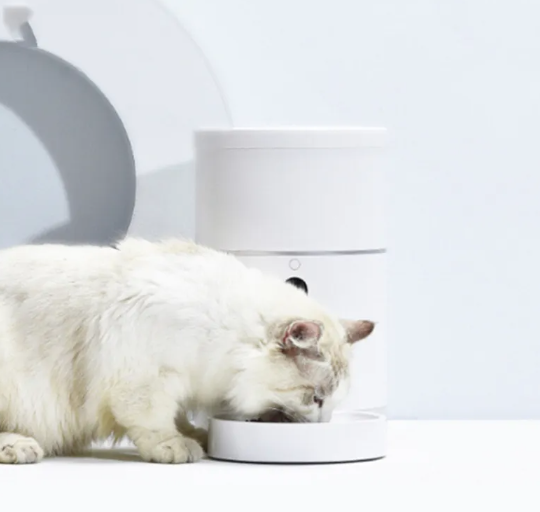 Cat Feeder With Camera