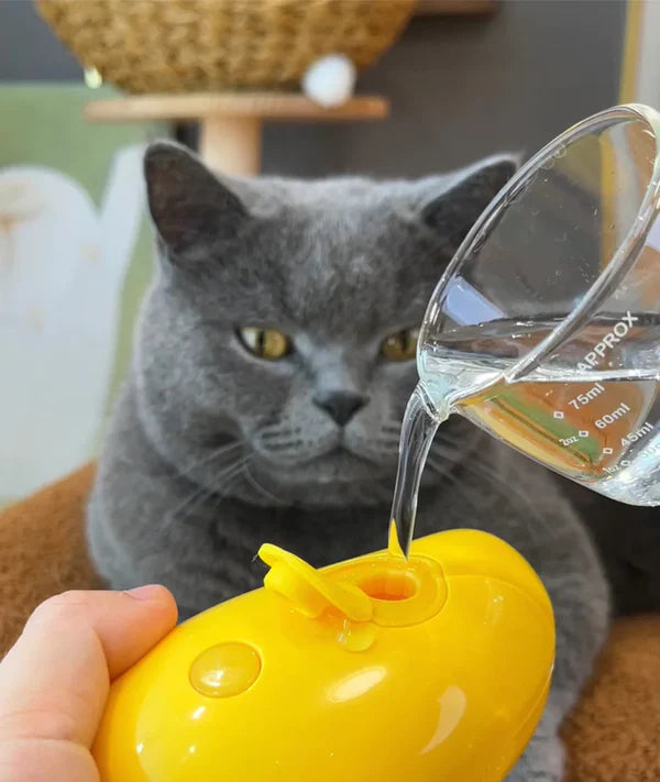 Cat Steam Grooming Brush