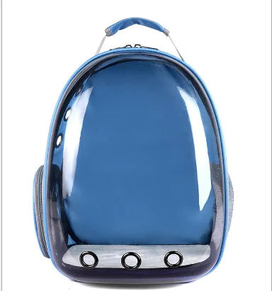 Cat Capsule Backpack