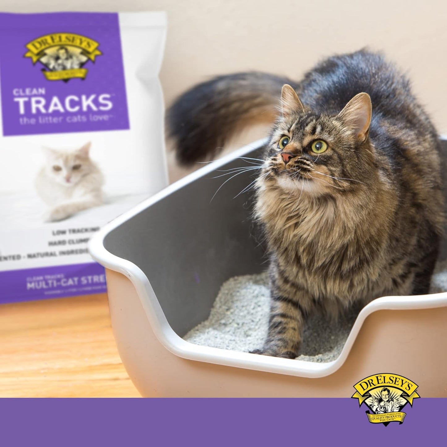 Dr. Elseys Cat Litter (40lbs)