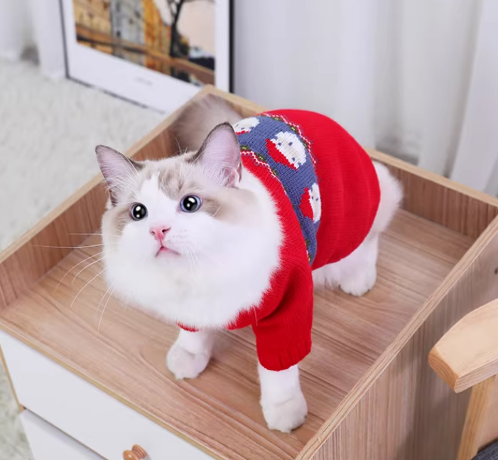 Christmas Sweater for Cat