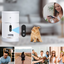 Cat Feeder With Camera
