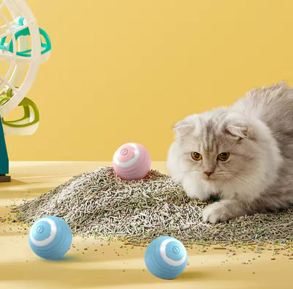 Cat Interactive Smart Toys Ball