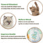 Catnip Wall Ball Cat Toy