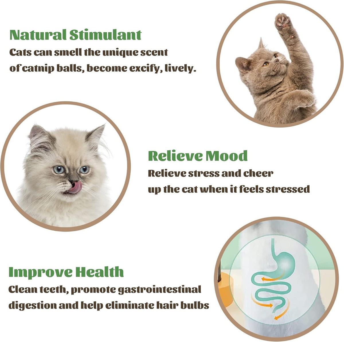 Catnip Wall Ball Cat Toy