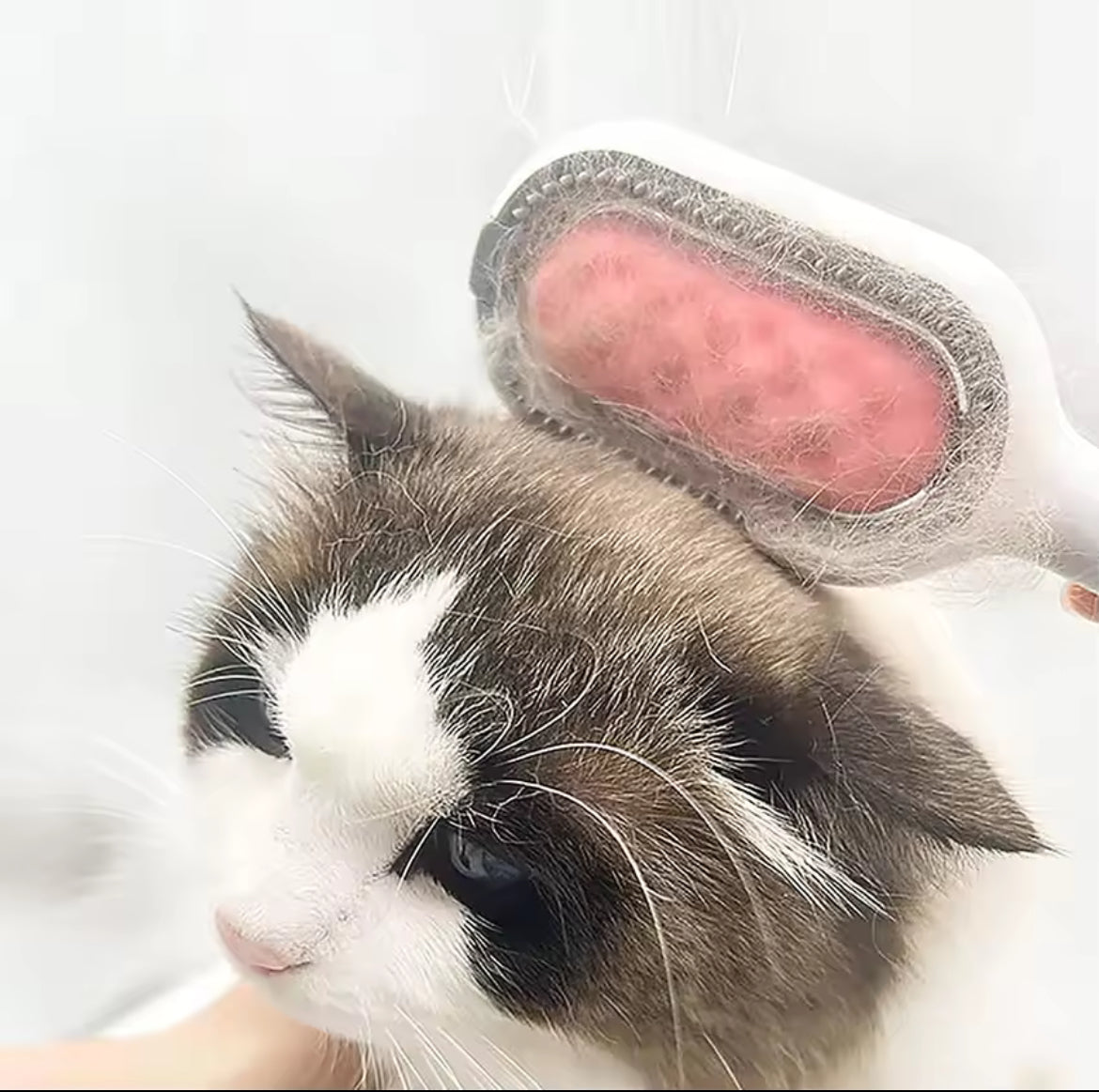 Cats Hair Removal Comb