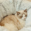 Plush Donut Cat Tunnel Bed – All-Season Cozy Hideaway