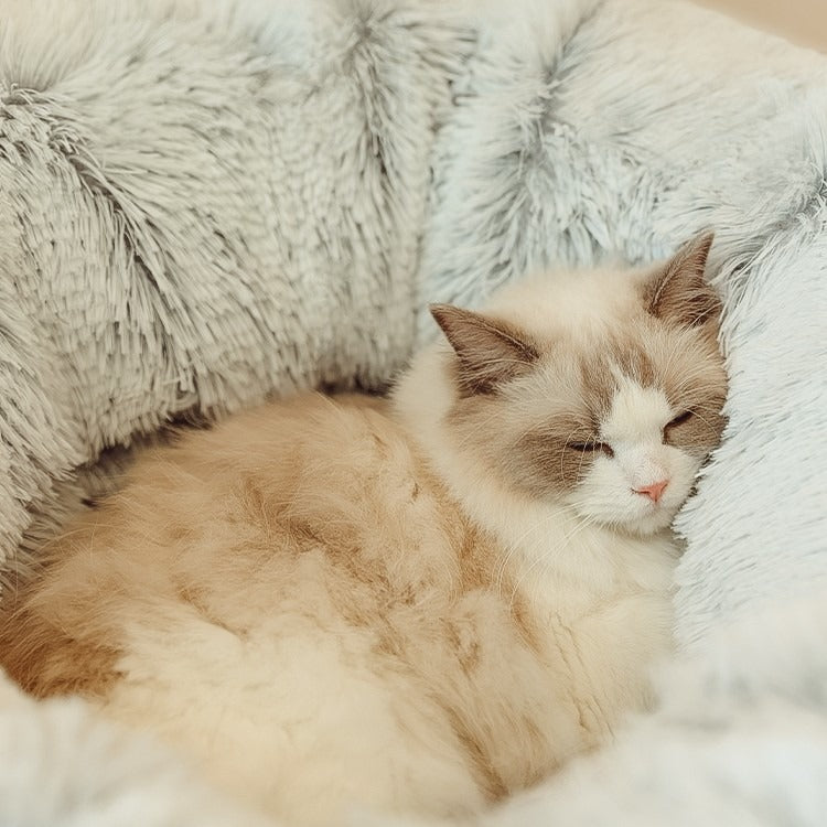 Plush Donut Cat Tunnel Bed – All-Season Cozy Hideaway