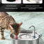Stainless steel cat water fountain size and capacity