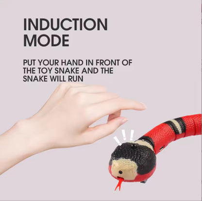 Snake Toy for Cats