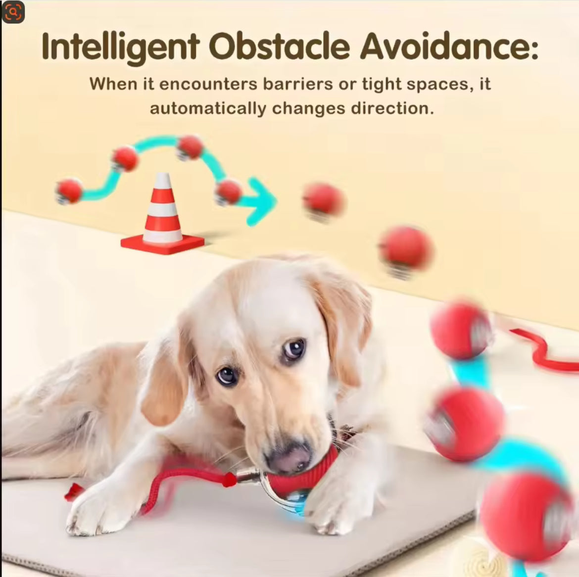 Cat Toy for Endless Fun