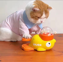 Intelligent Automatic Pet Feeder