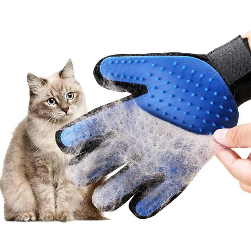 Blue cat grooming glove covered with removed pet hair next to a sitting cat