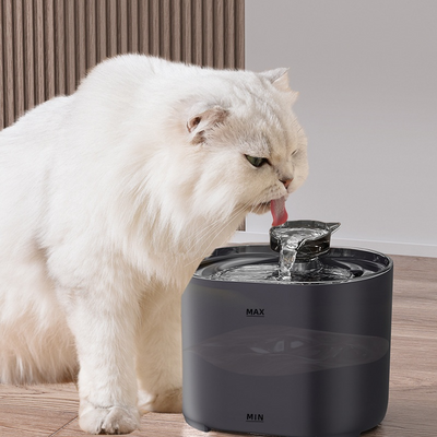 White cat drinking from a black pet fountain on a wooden floor.