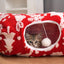 Kitten peeking out of red cat tunnel with hanging white pom-pom toy