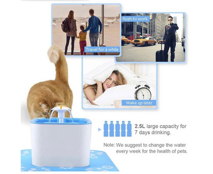 Pet Water Dispenser