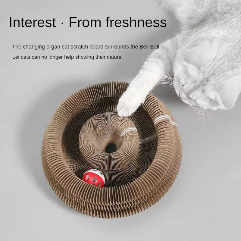 Magnetic Foldable Cat Scratch Toy