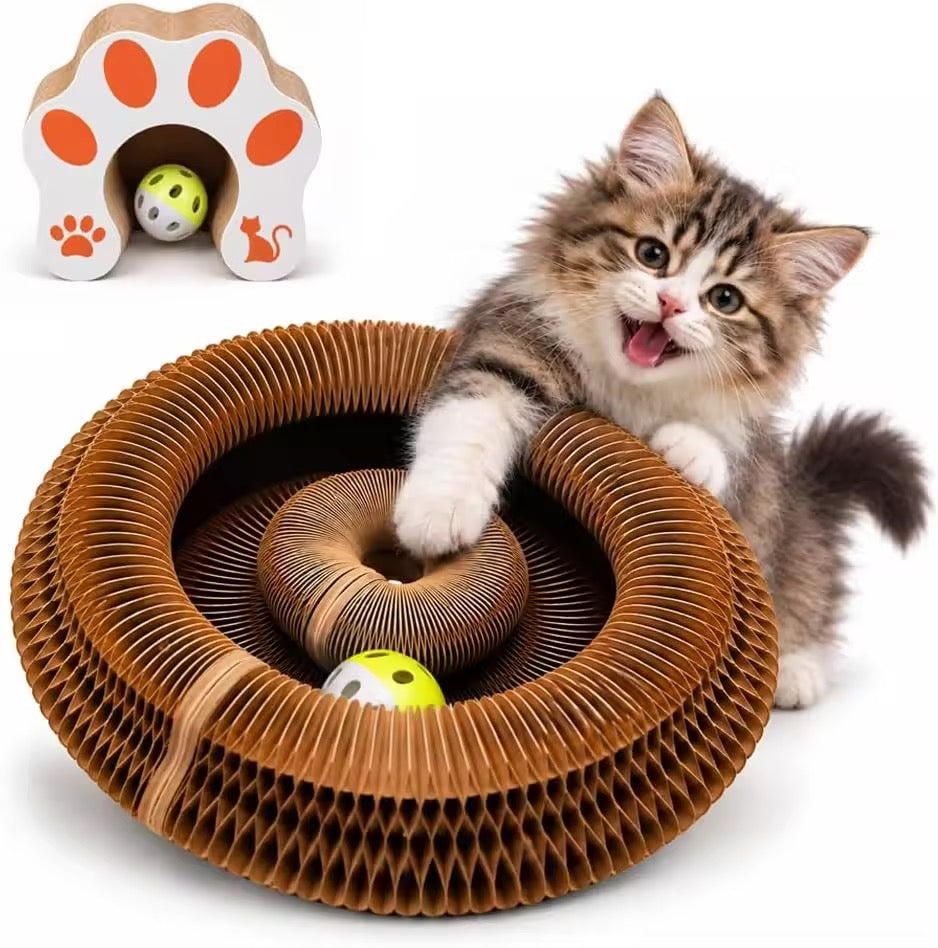 Magnetic Foldable Cat Scratch Toy