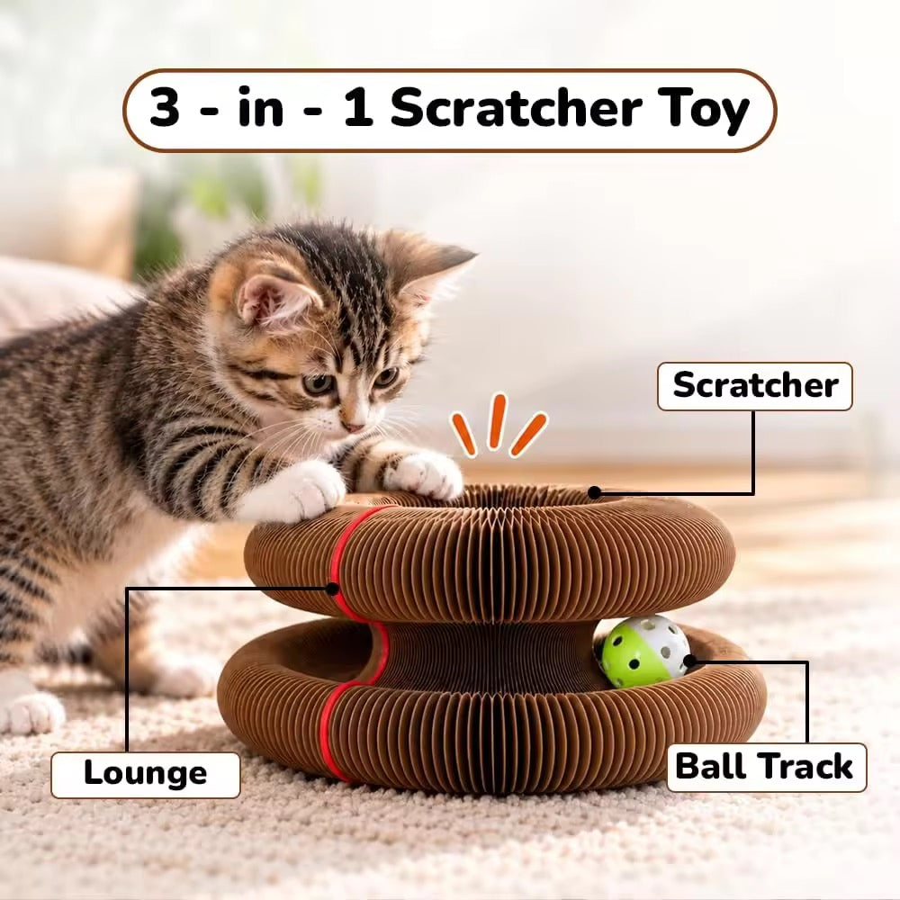 Magnetic Foldable Cat Scratch Toy